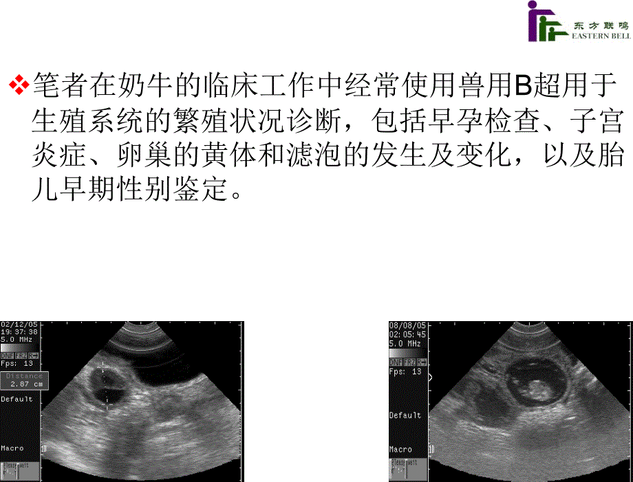 B超在奶牛繁殖工作中的应用课件_第3页