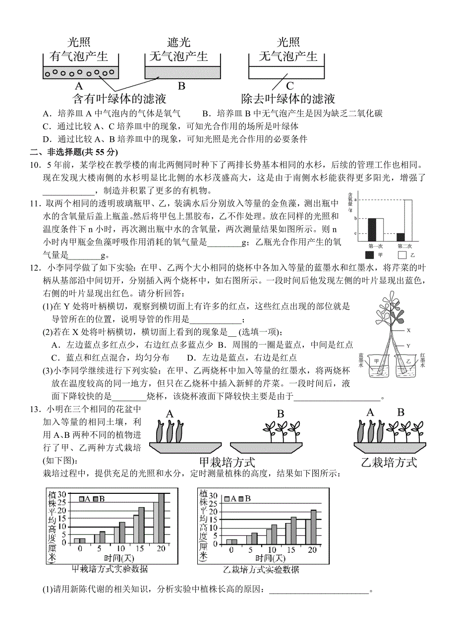 中考初中科学复习学案十六专题4绿色植物的新陈代谢_第4页