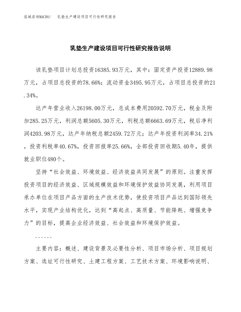 范文乳垫生产建设项目可行性研究报告_第2页