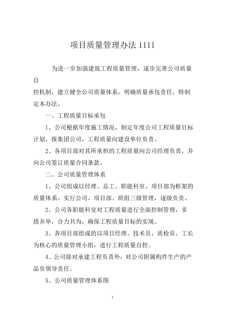 项目质量管理办法111111_第1页