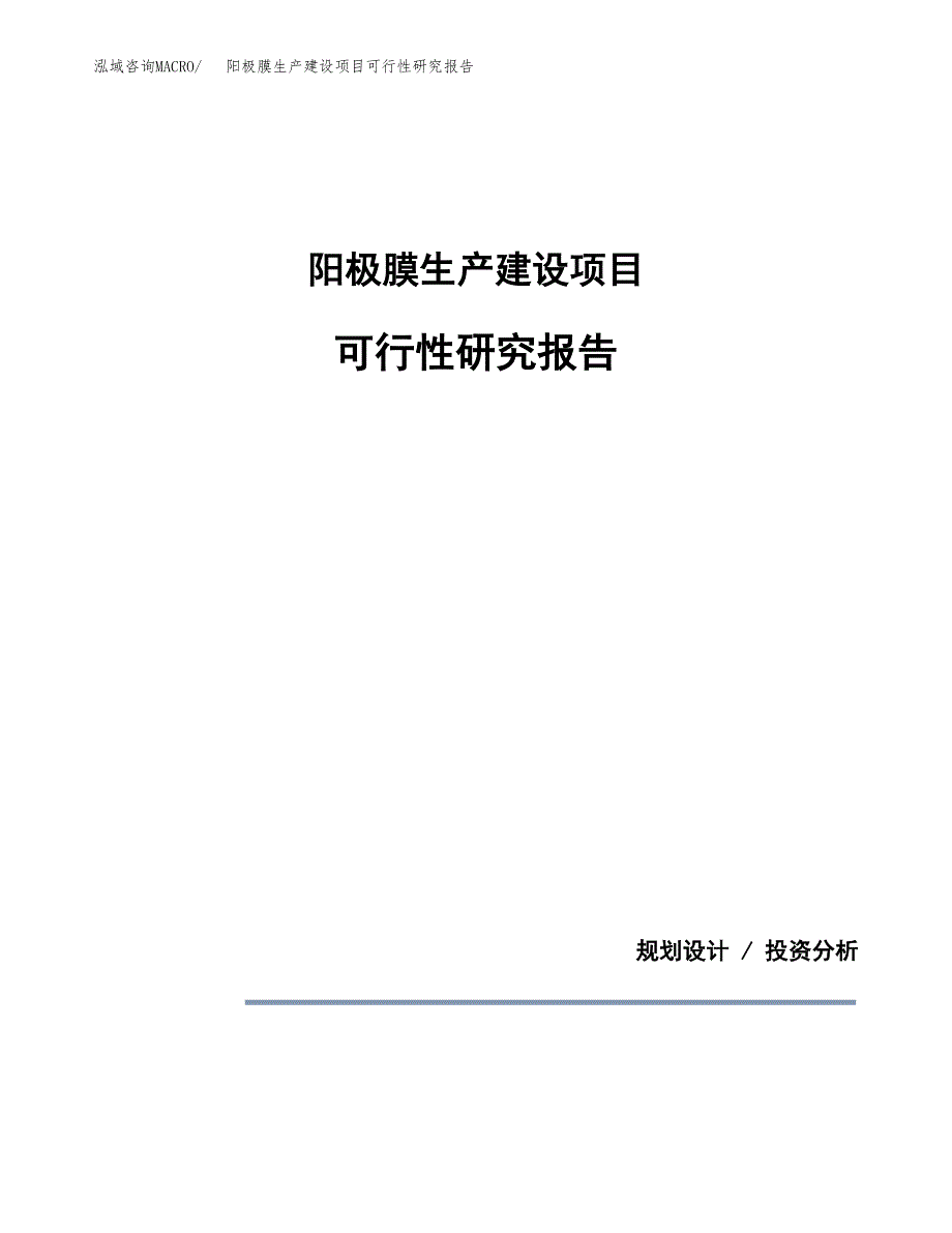 范文阳极膜生产建设项目可行性研究报告_第1页