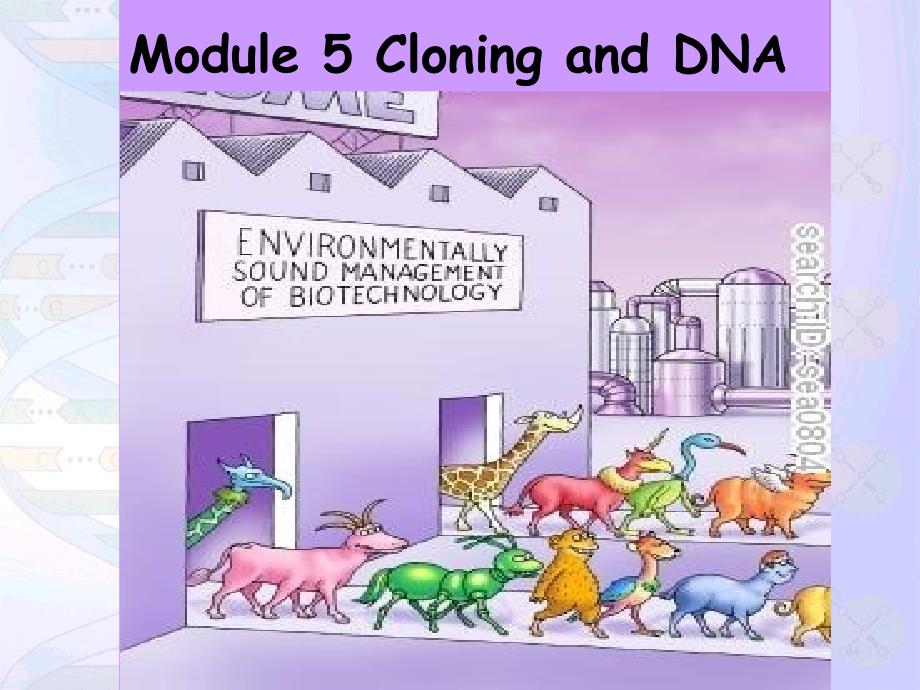 module5cloning-and-dna_第2页