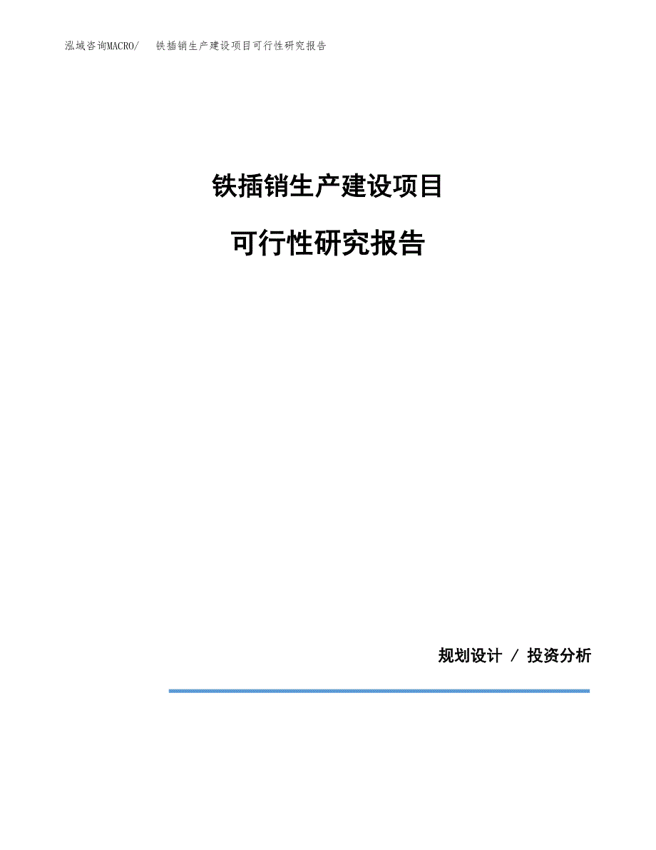 范文铁插销生产建设项目可行性研究报告_第1页