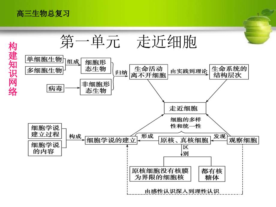 2013年生物一轮复习必修一第一章_第4页