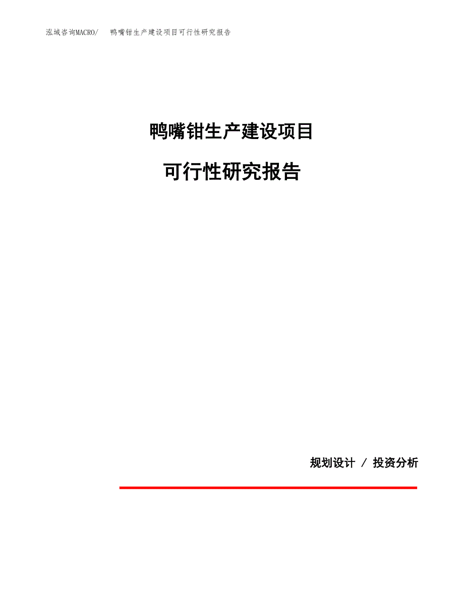 范文鸭嘴钳生产建设项目可行性研究报告_第1页