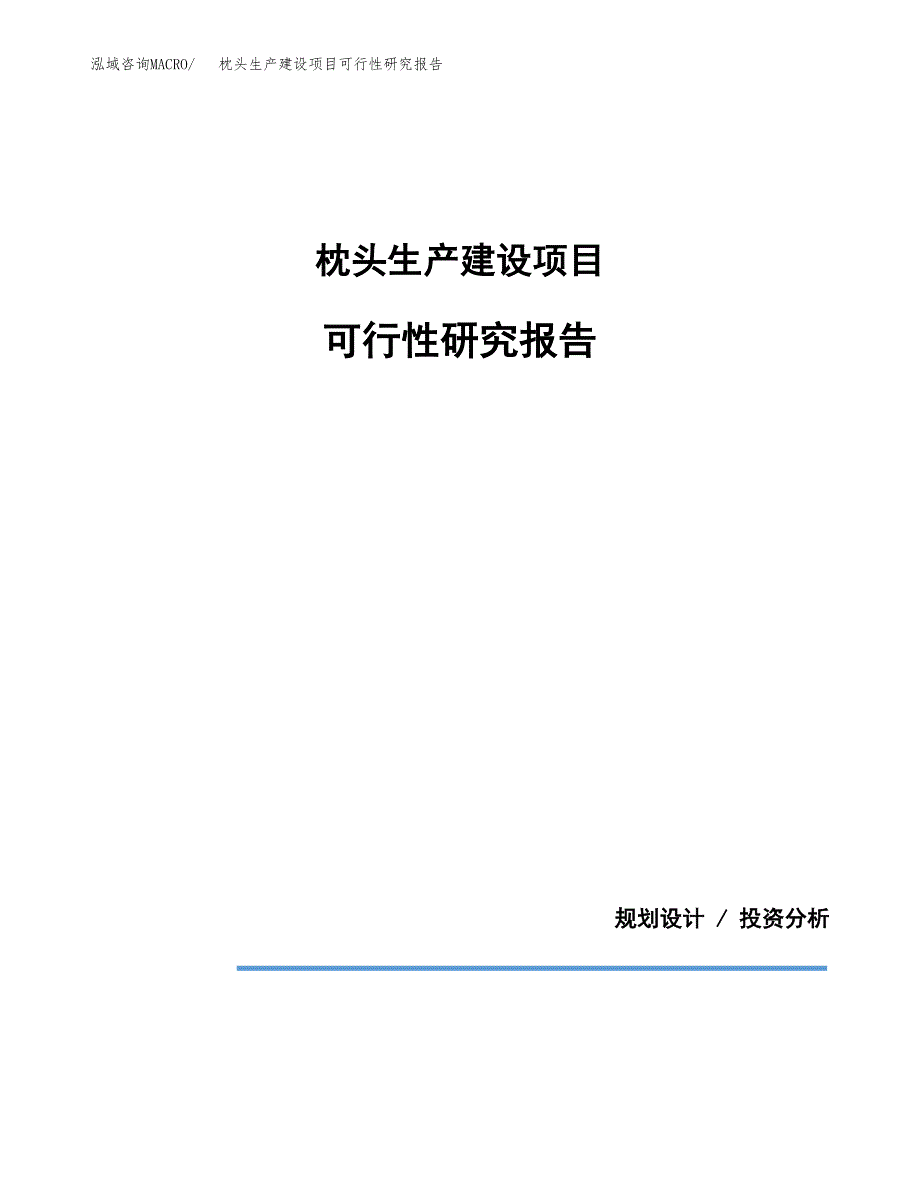 范文枕头生产建设项目可行性研究报告_第1页