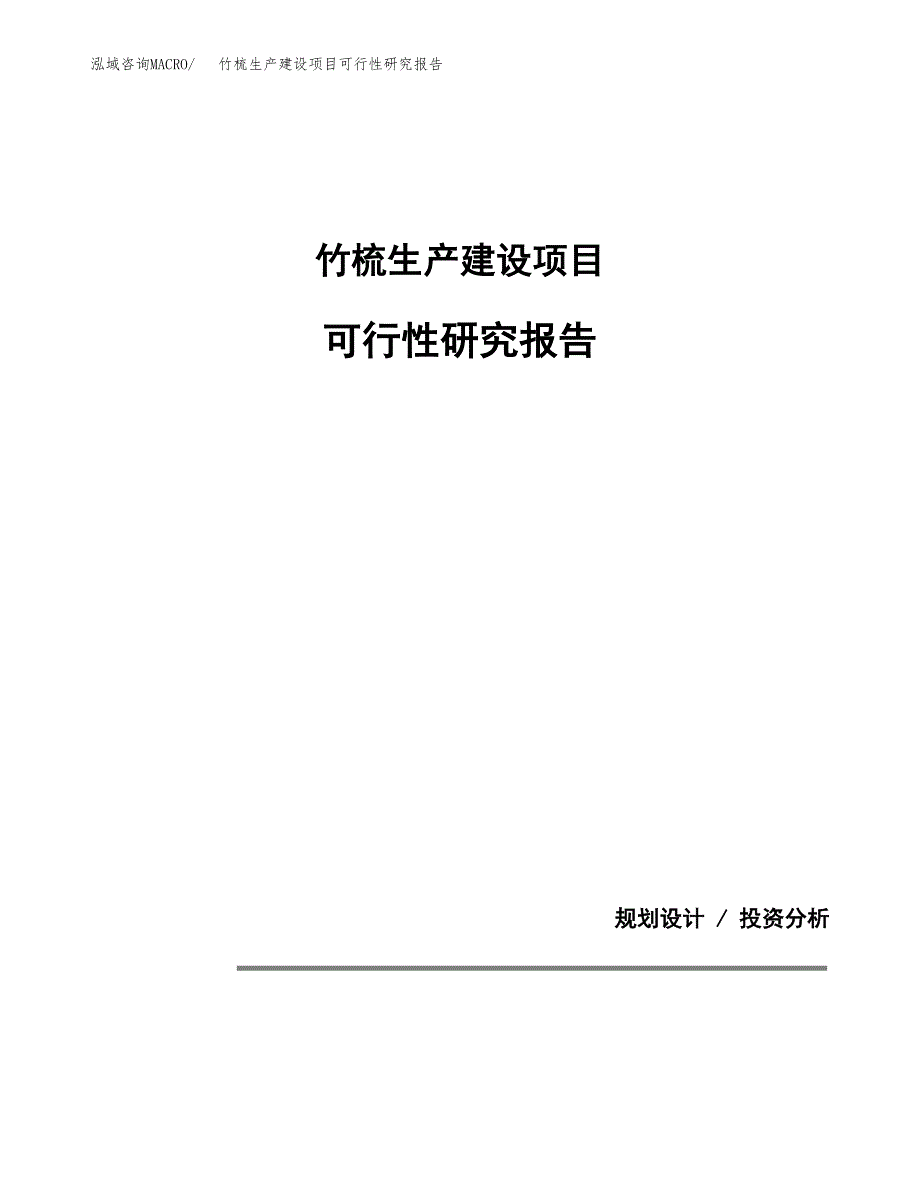 范文竹梳生产建设项目可行性研究报告_第1页