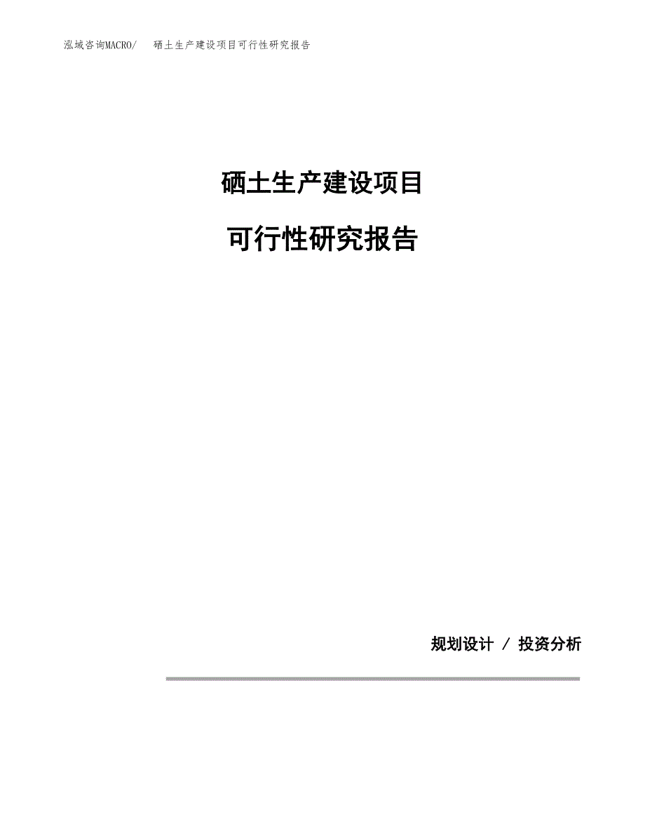 范文硒土生产建设项目可行性研究报告_第1页