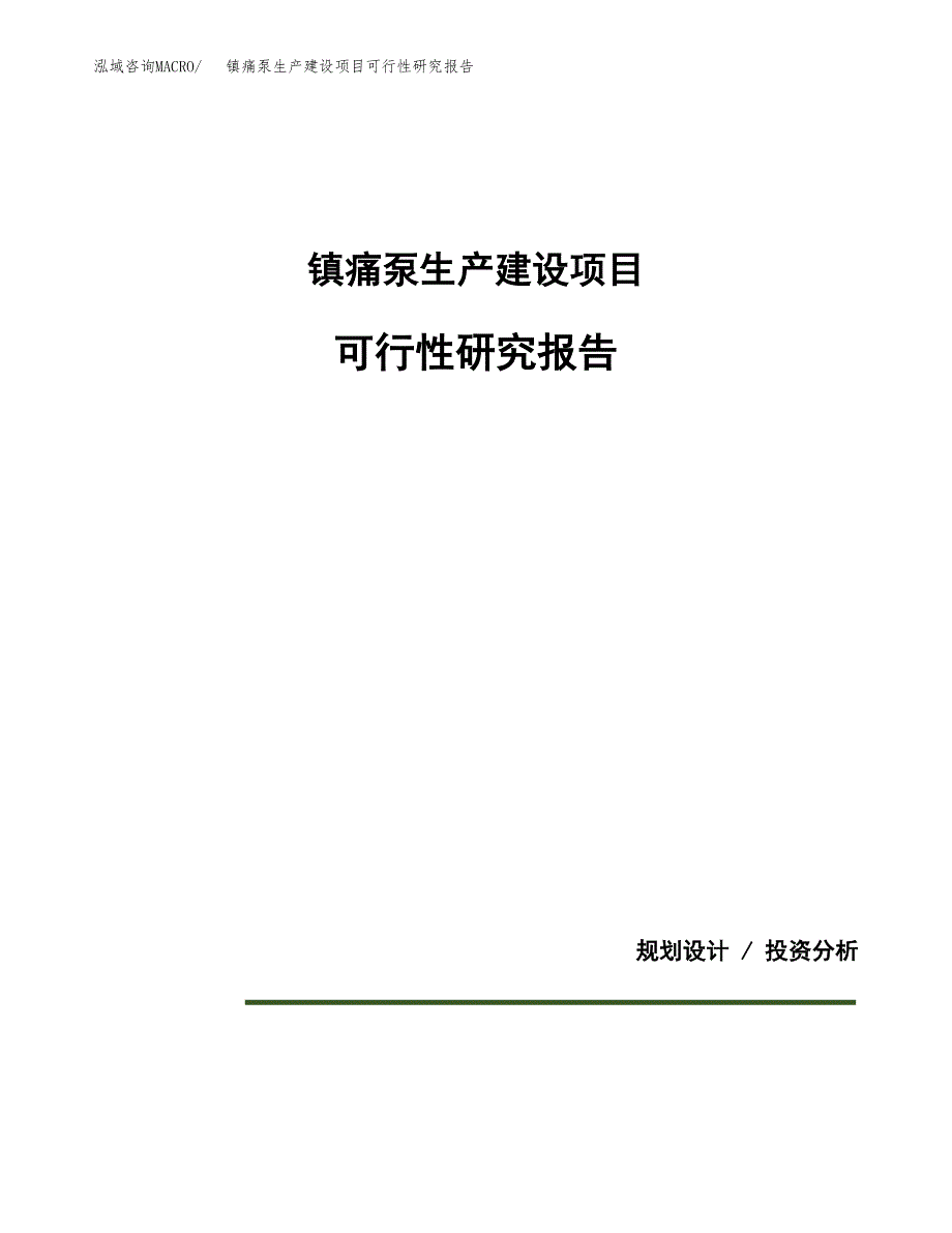 范文镇痛泵生产建设项目可行性研究报告_第1页