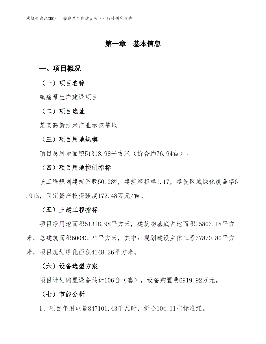 范文镇痛泵生产建设项目可行性研究报告_第3页