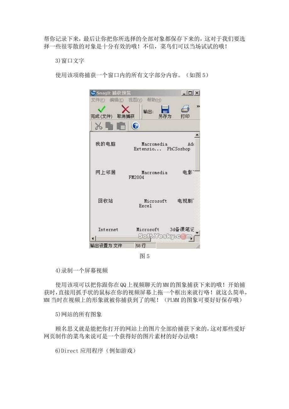 SnagIt10.0使用方法_第5页
