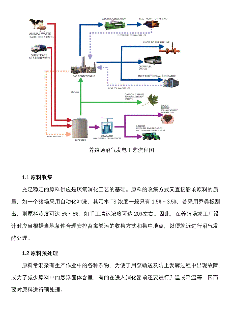 沼气发电工艺及项目建设难点_第2页