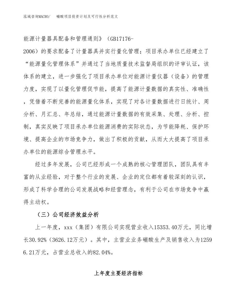 磞酸项目投资计划及可行性分析范文_第5页