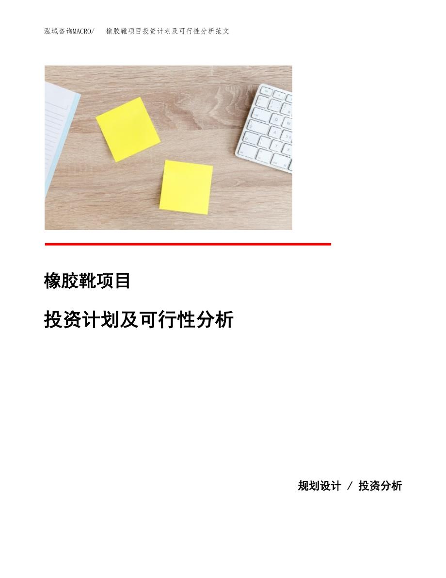 橡胶靴项目投资计划及可行性分析范文_第1页