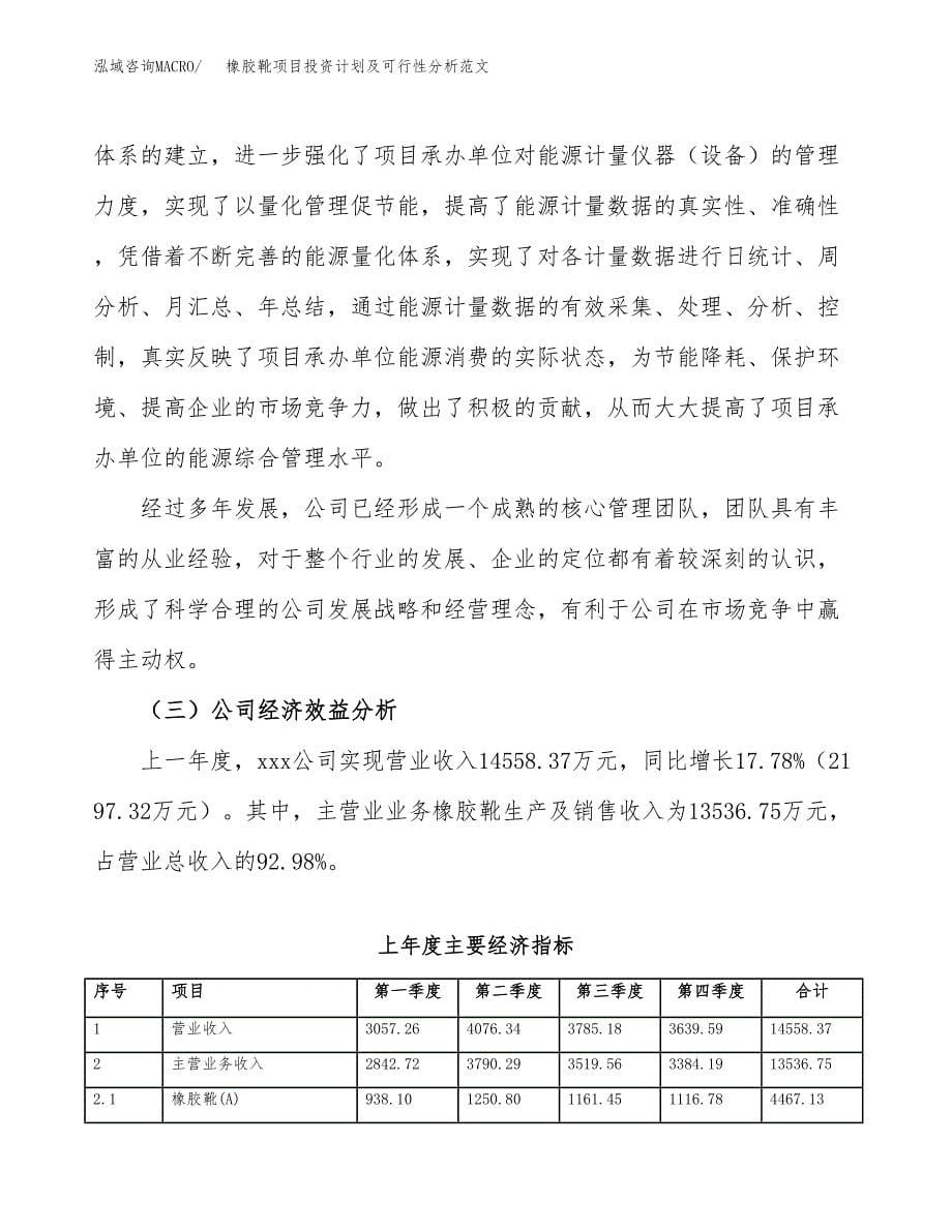 橡胶靴项目投资计划及可行性分析范文_第5页