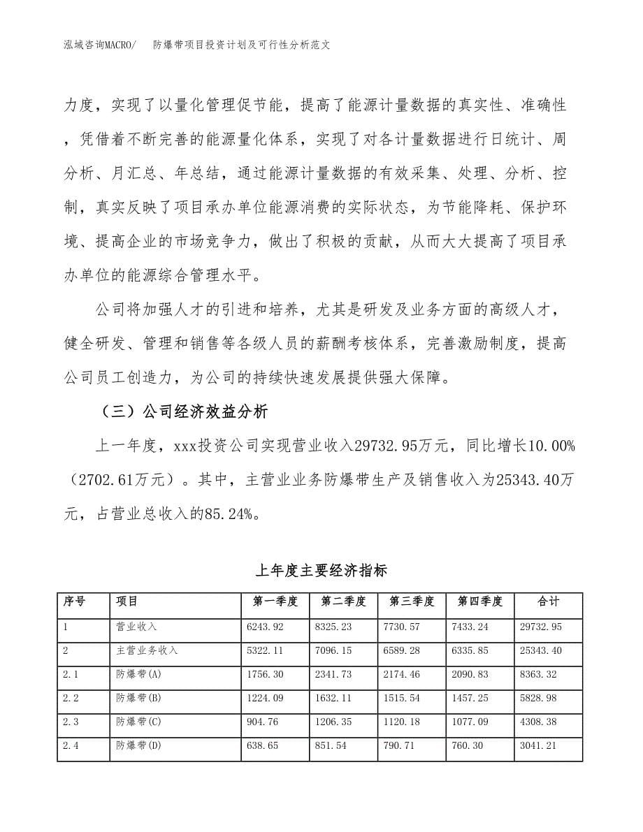 防爆带项目投资计划及可行性分析范文_第5页