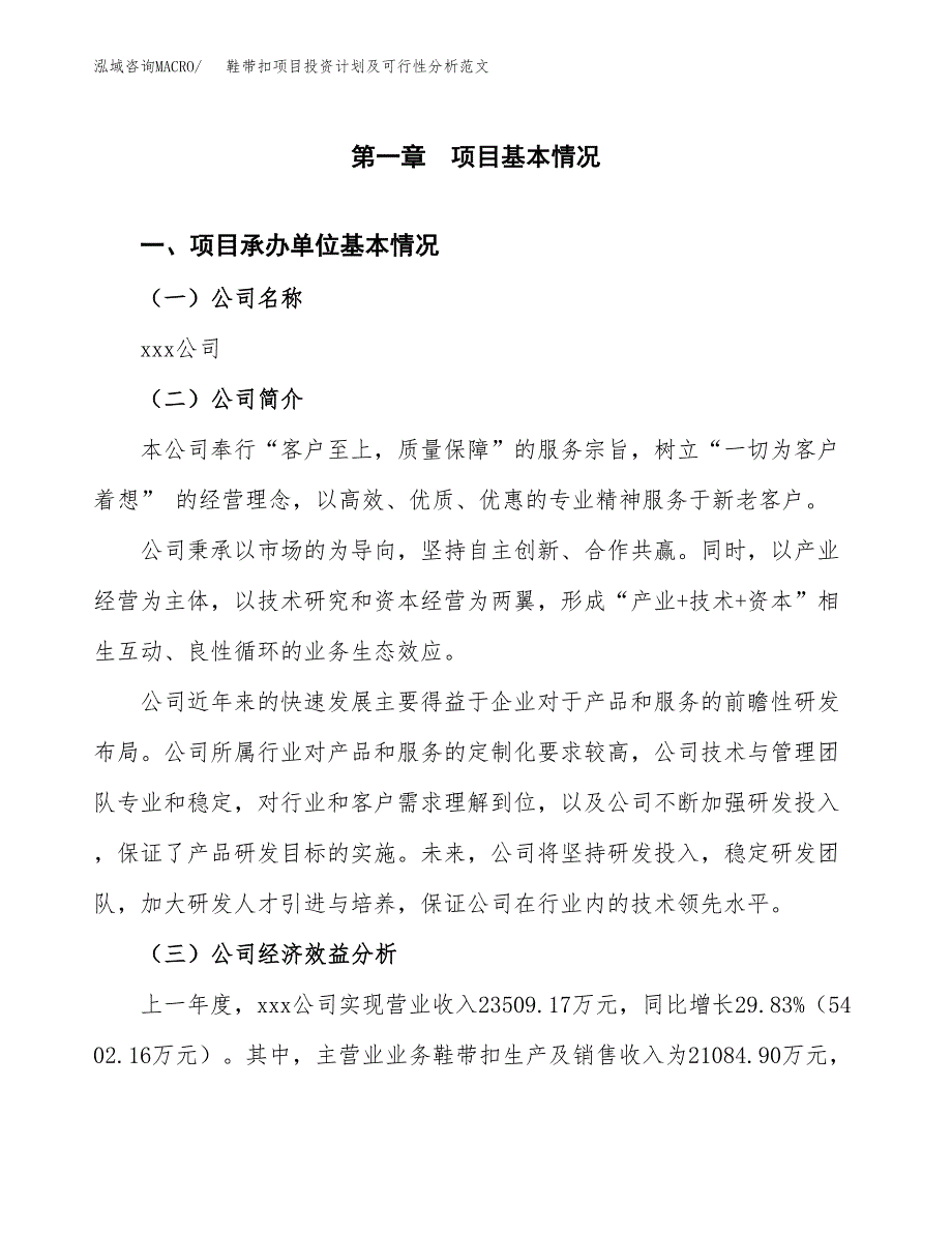 鞋带扣项目投资计划及可行性分析范文_第4页