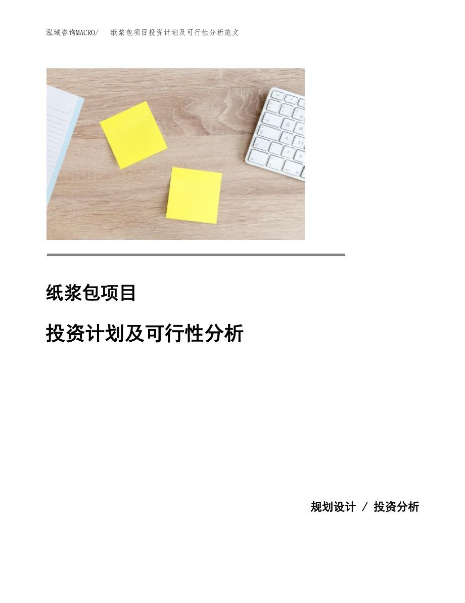 纸浆包项目投资计划及可行性分析范文_第1页