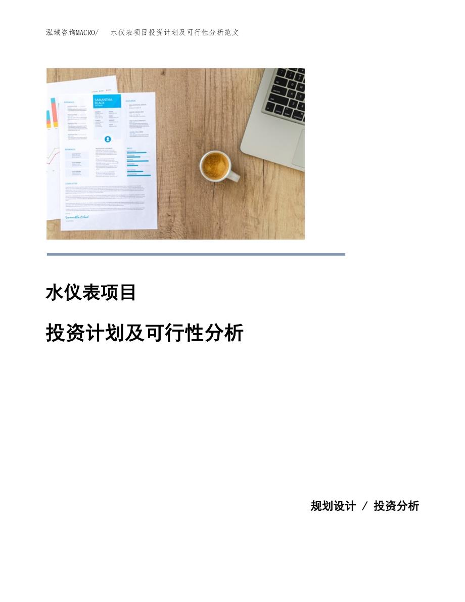 水仪表项目投资计划及可行性分析范文_第1页