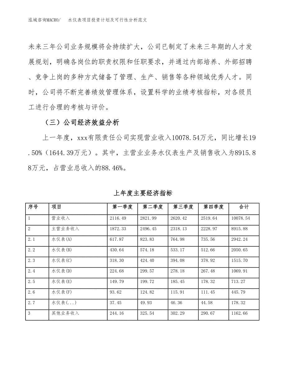 水仪表项目投资计划及可行性分析范文_第5页