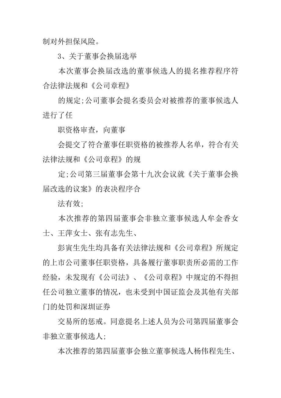 公司董事年度履职情况汇报.doc_第5页