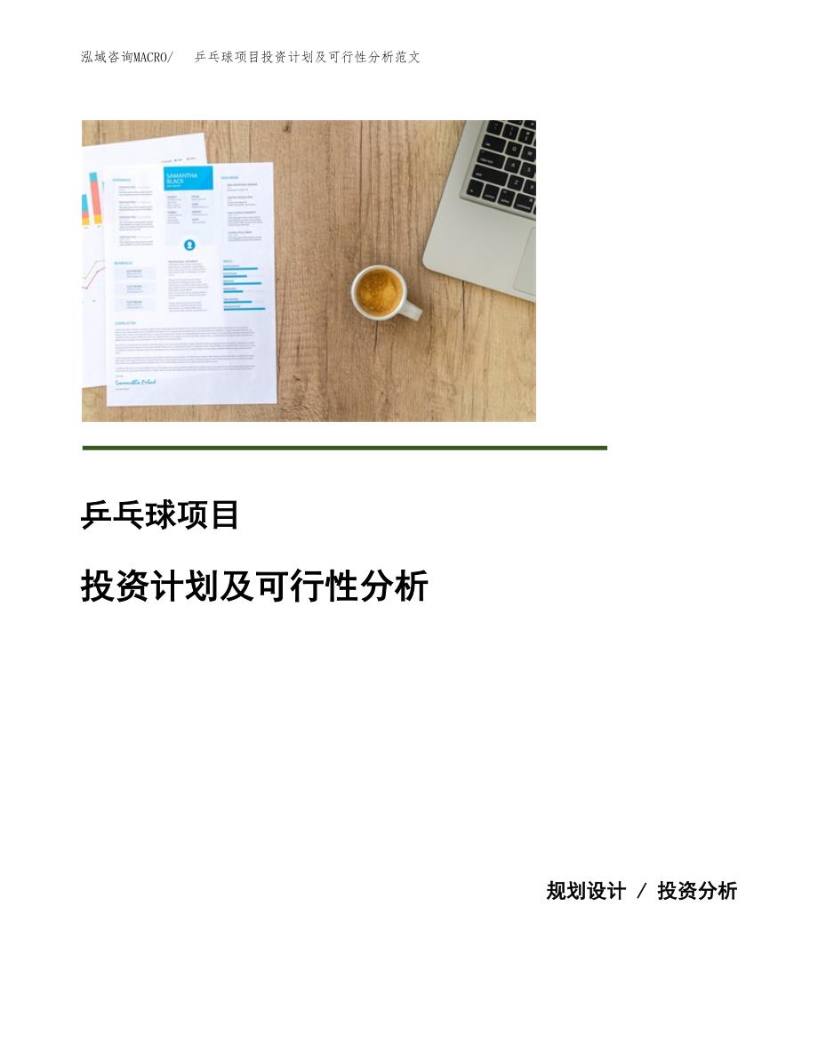 乒乓球项目投资计划及可行性分析范文_第1页