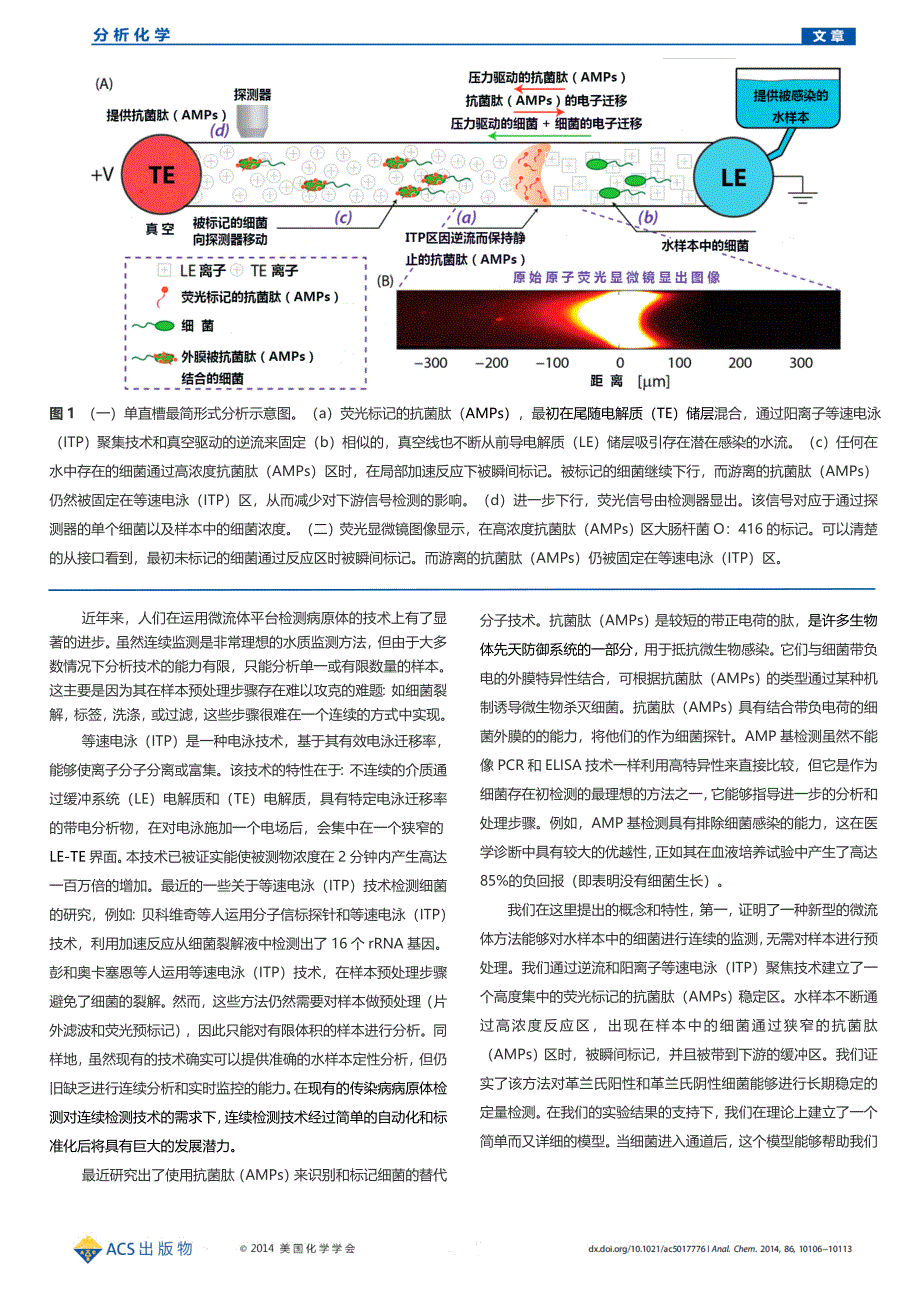 运用抗菌肽和等速电泳对细菌的连续性微流体分析检测_第2页