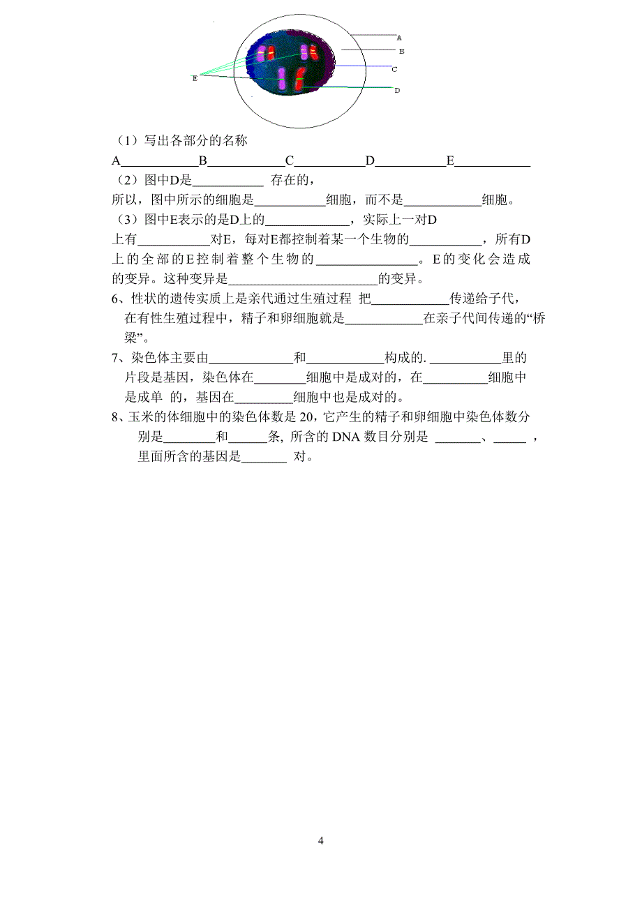 八年级下册生物学第二章检测题和答案-2_第4页