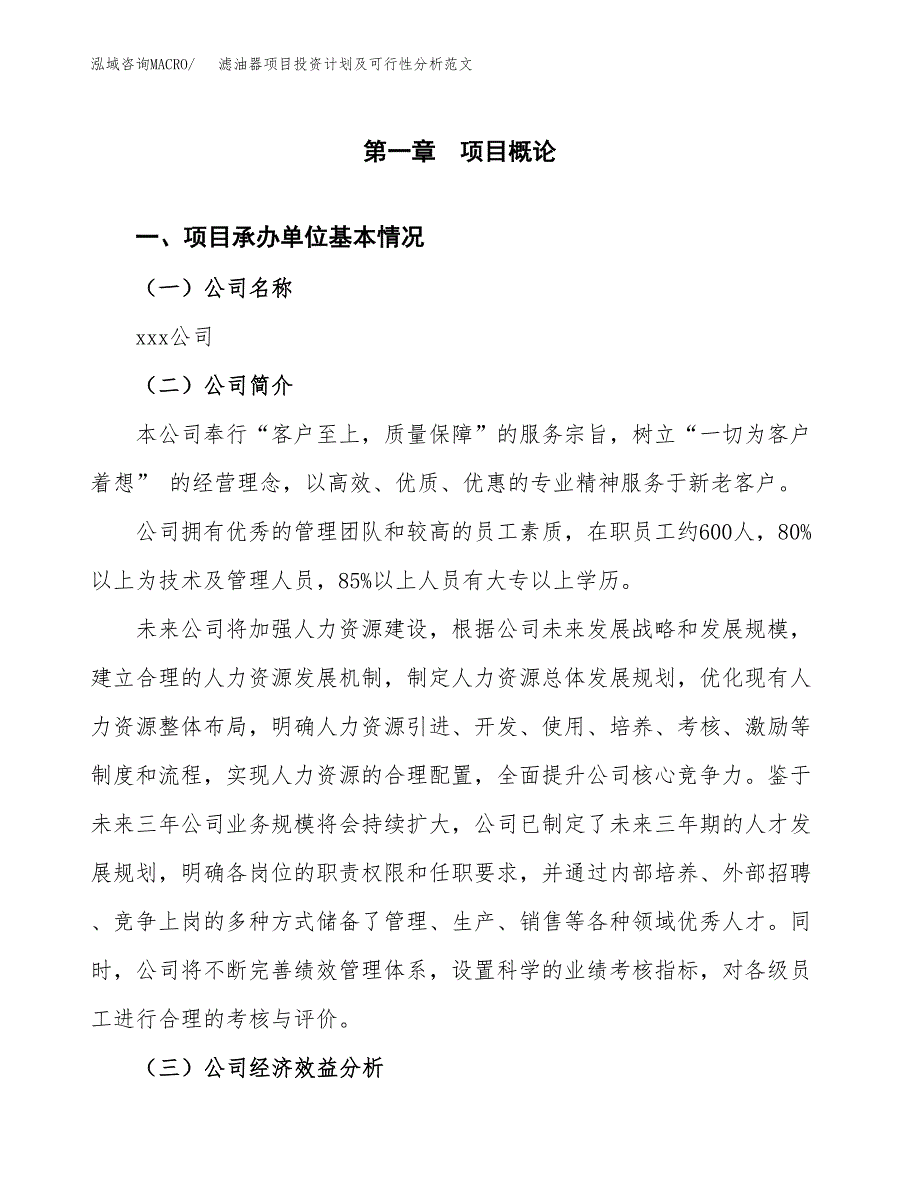 滤油器项目投资计划及可行性分析范文_第4页