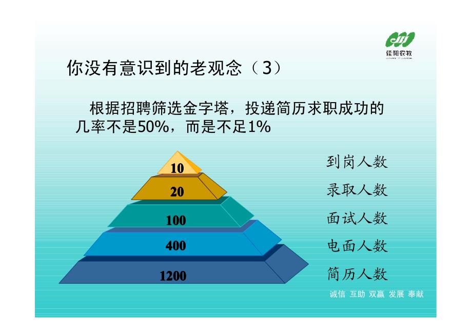 职业顾问不会告诉你这些简历版培训资料_第4页