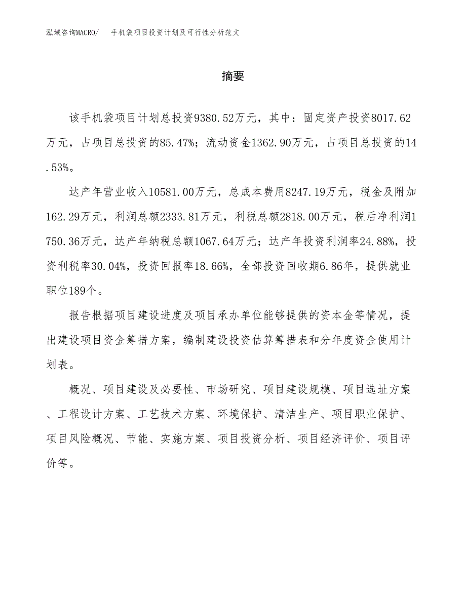 手机袋项目投资计划及可行性分析范文_第2页