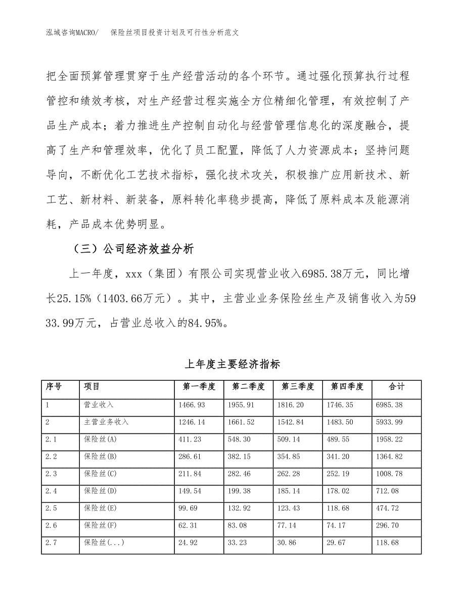 保险丝项目投资计划及可行性分析范文_第5页