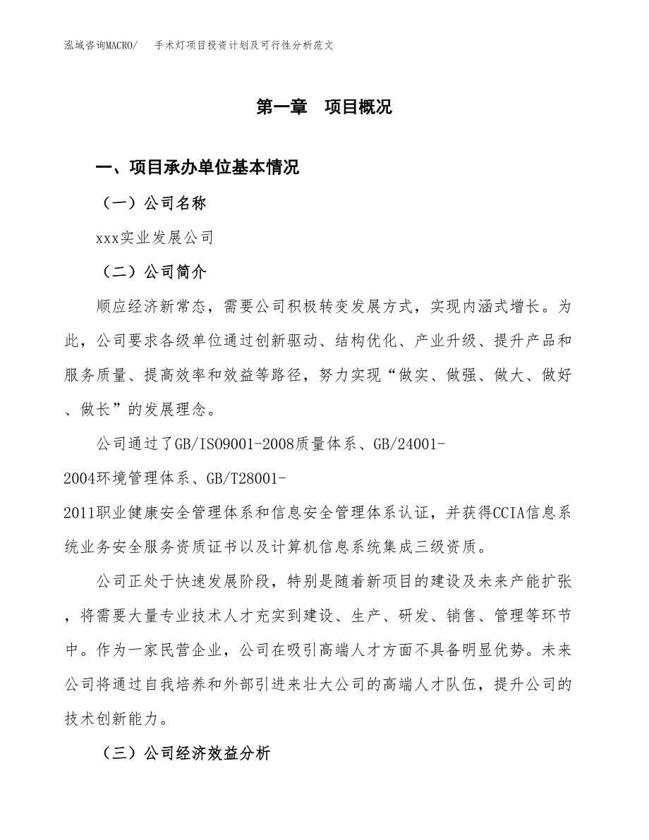 手术灯项目投资计划及可行性分析范文_第4页