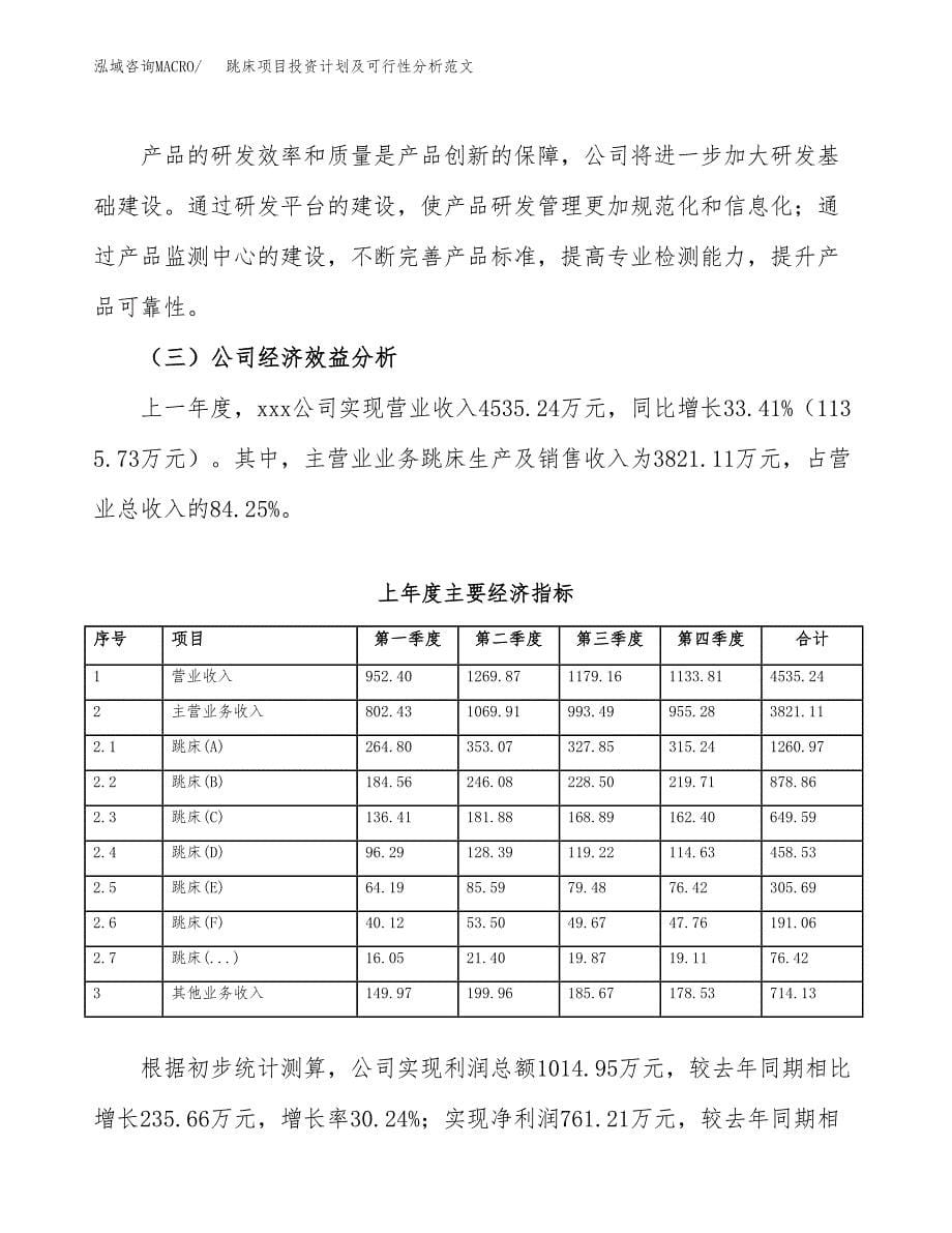 跳床项目投资计划及可行性分析范文_第5页