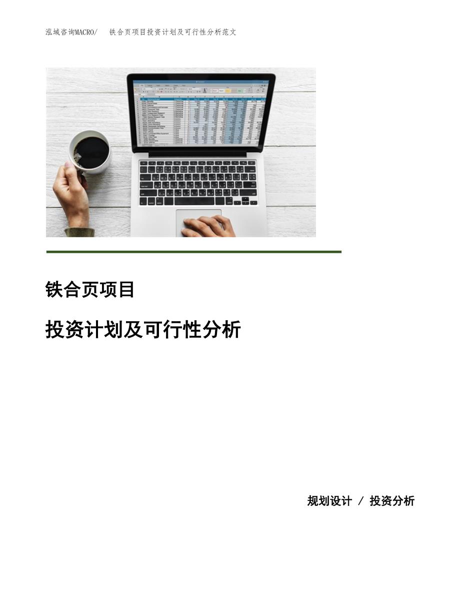 铁合页项目投资计划及可行性分析范文_第1页