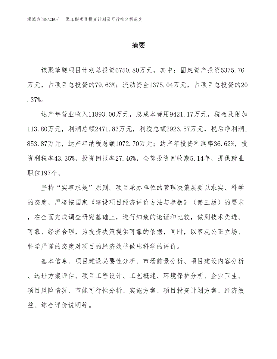 聚苯醚项目投资计划及可行性分析范文_第2页