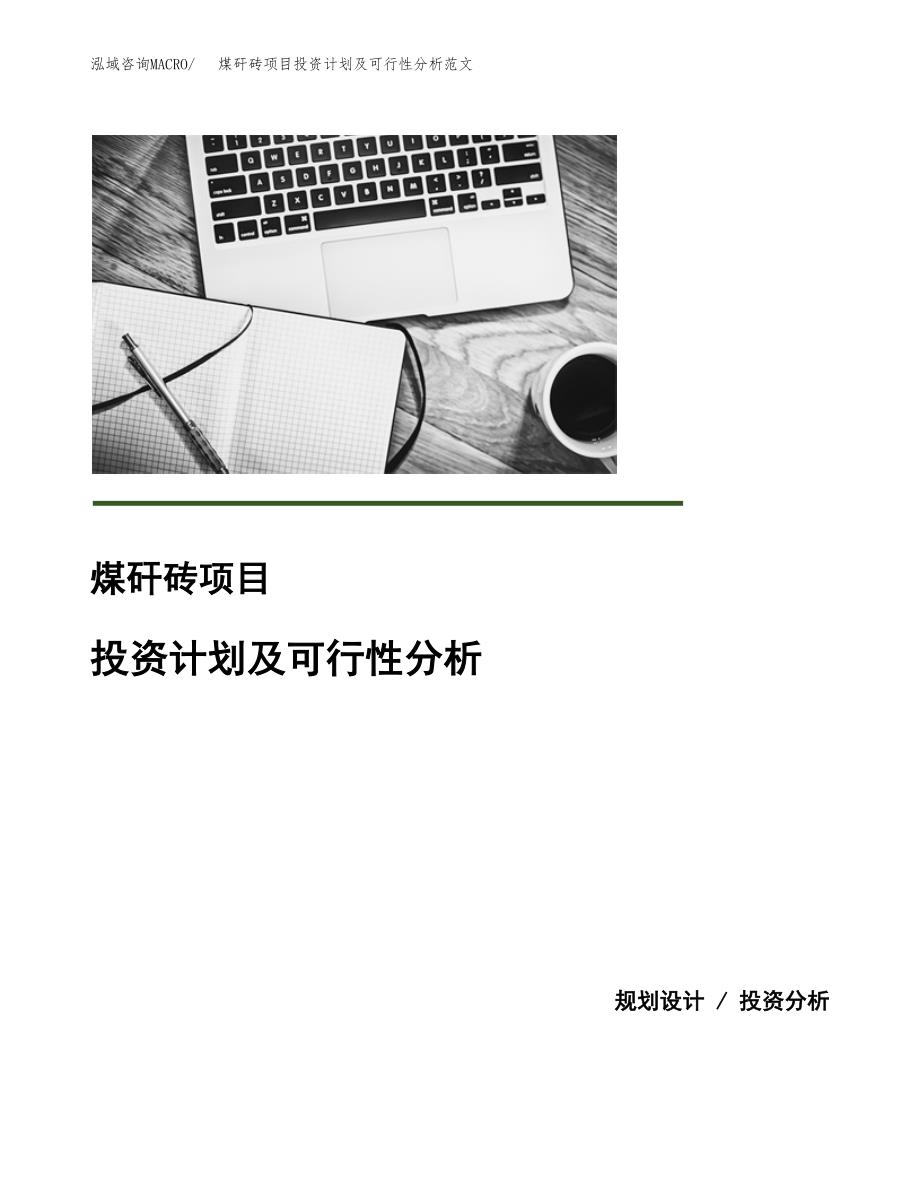 煤矸砖项目投资计划及可行性分析范文_第1页