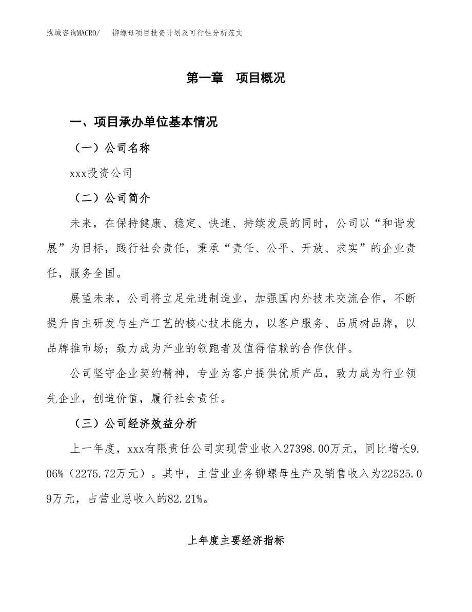 铆螺母项目投资计划及可行性分析范文_第5页