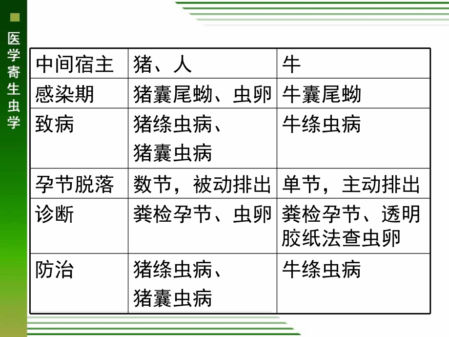 细粒棘球绦虫、微小膜壳绦虫_第4页