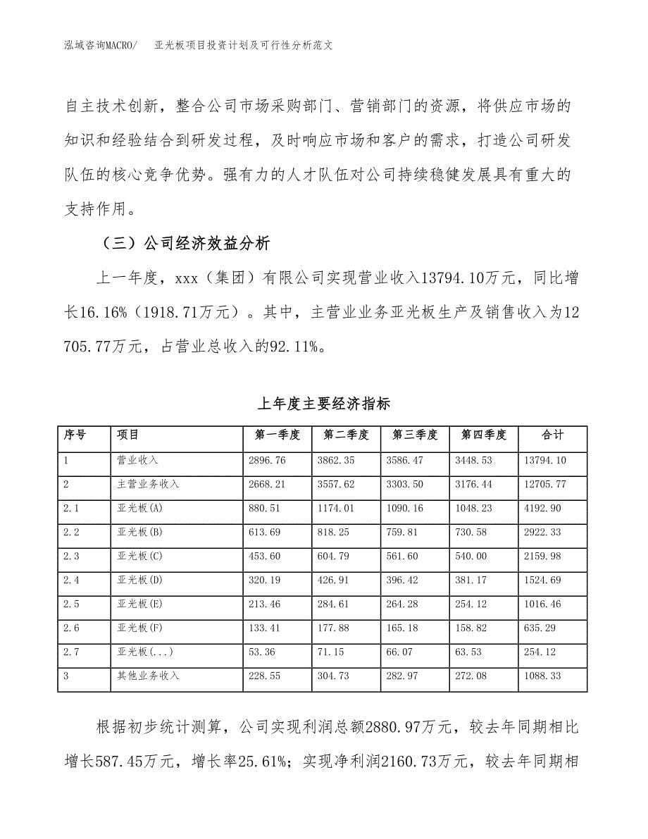 亚光板项目投资计划及可行性分析范文_第5页