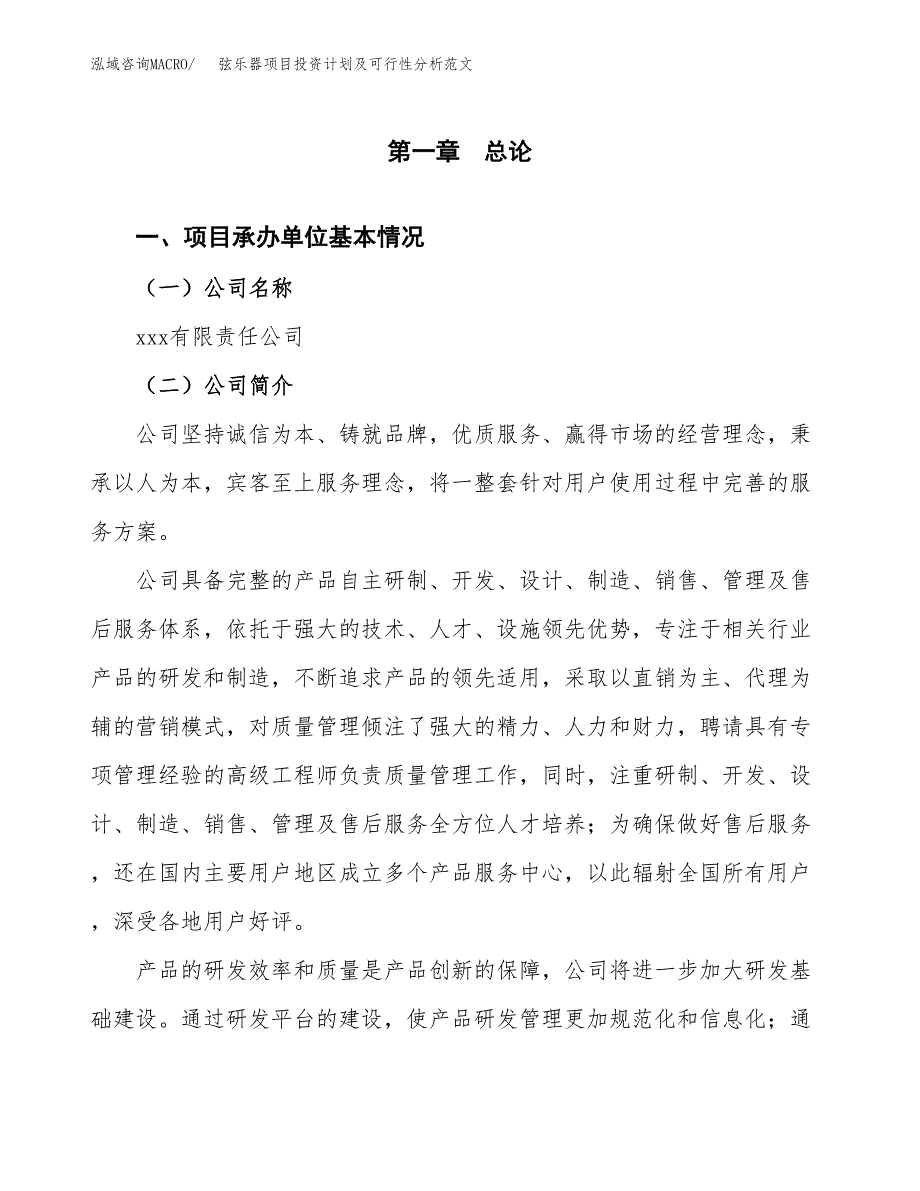 弦乐器项目投资计划及可行性分析范文_第4页