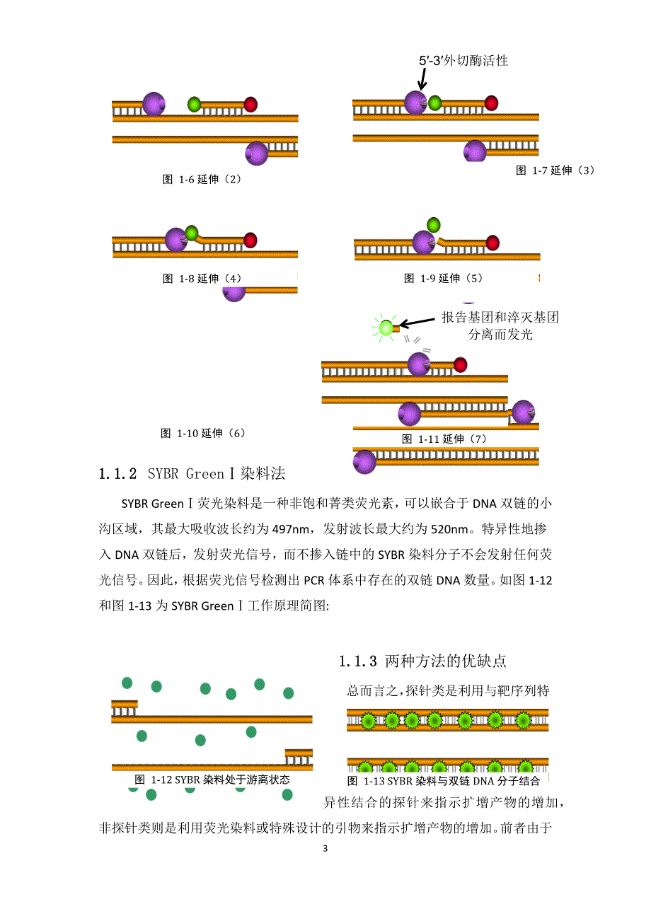 浅谈对实时荧光定量pcr技术的理解_第3页