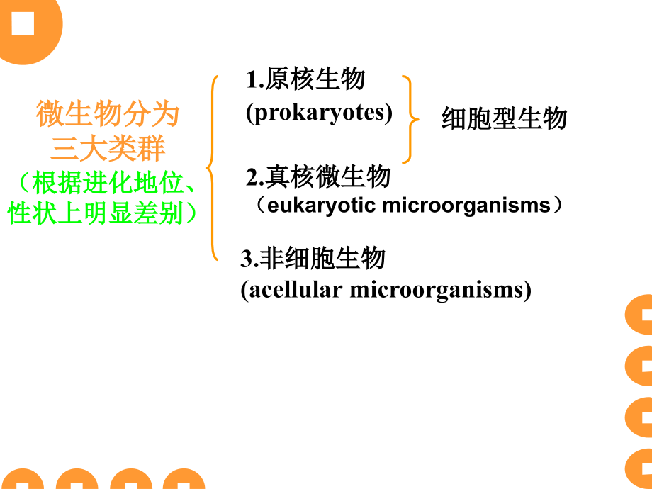 原核生物的形态、构造与功能-工业微生物学课件-02_第2页