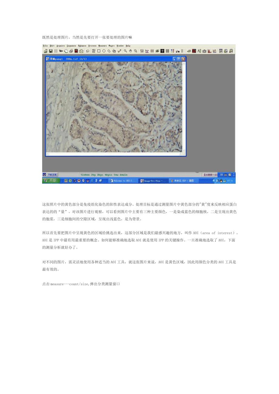 分析测量图象软件Imagepro(DOC)_第2页
