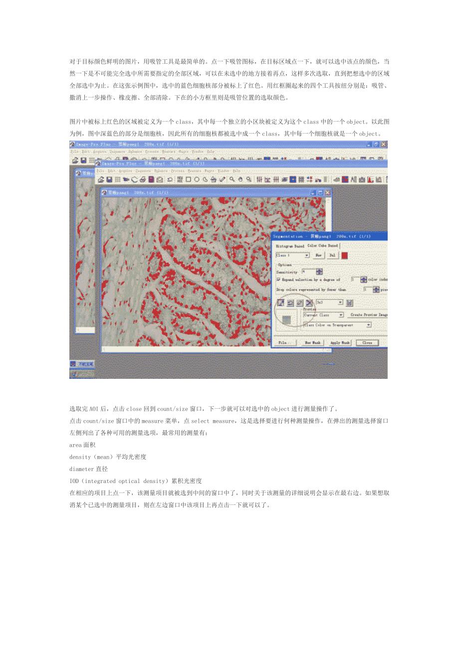 分析测量图象软件Imagepro(DOC)_第4页