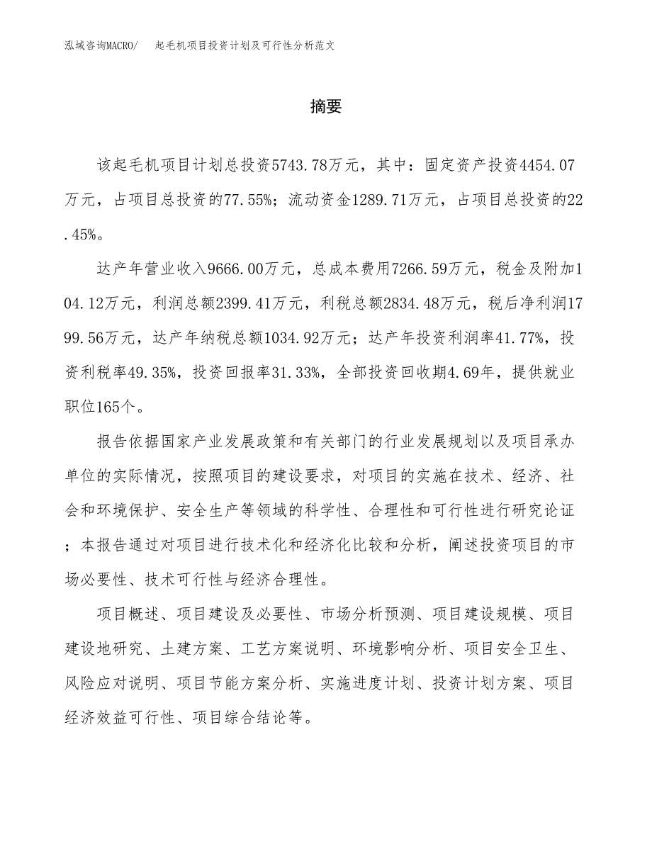 起毛机项目投资计划及可行性分析范文_第2页