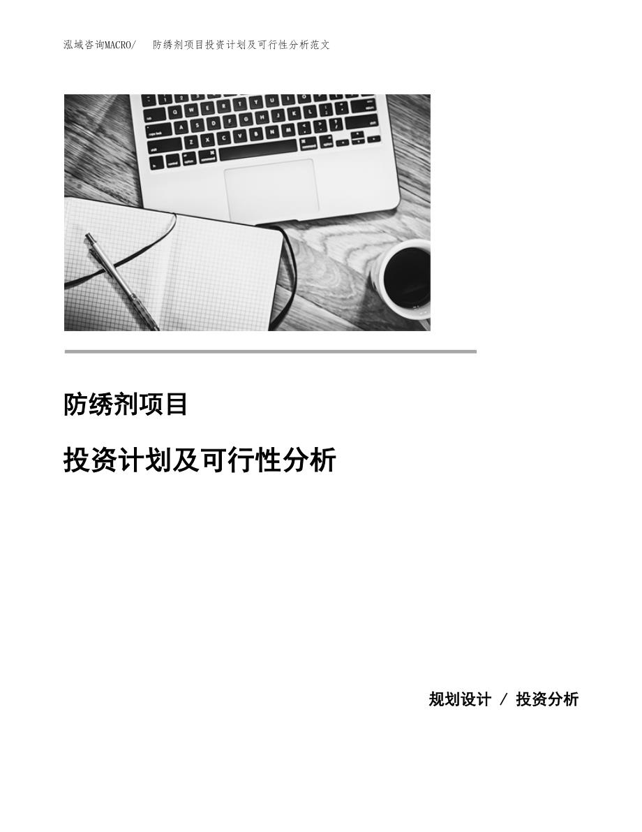 防绣剂项目投资计划及可行性分析范文_第1页