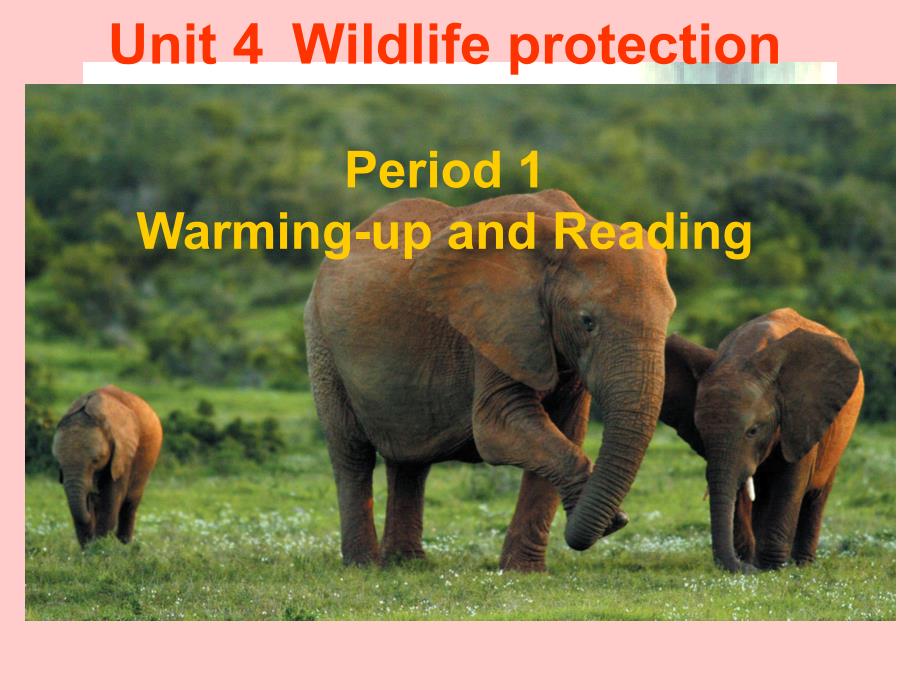 英语：unit4《wildlife-protection》reading课件(新人教版必修2)_第1页