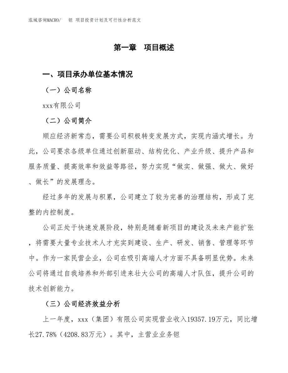 钽 项目投资计划及可行性分析范文_第4页