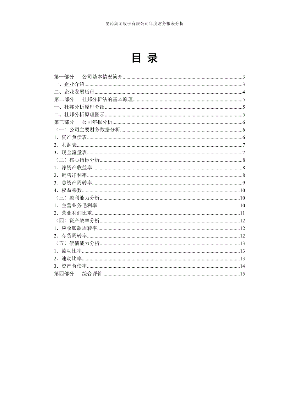 昆药集团股份有限公司年度财务报表(DOC)_第2页